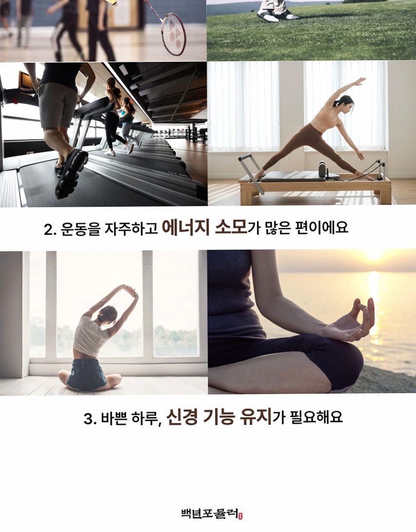 [약사개발] 근육이 편해지는 마그네슘 릴렉스마그콰트로 젖산마그네슘 유기염 마그네슘효능 60정, 1개